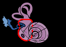 220PX-~2.PNG
