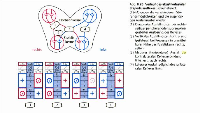Abb. 8.20.JPG
