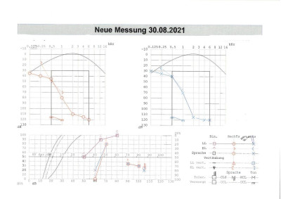 Audiogramm 2021a.jpg
